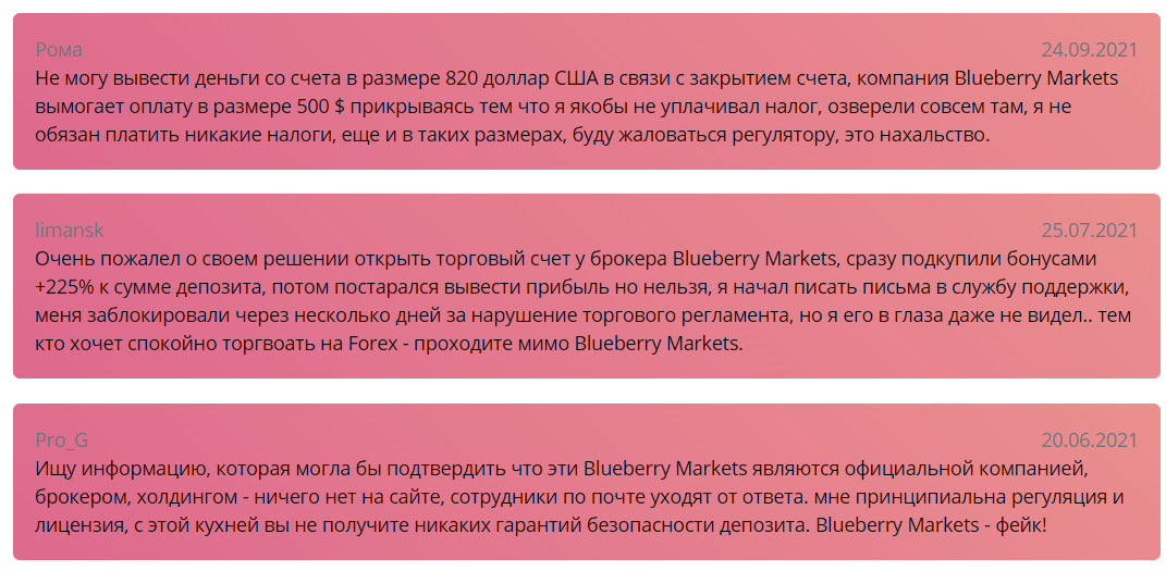 blueberry markets отзывы о компании 